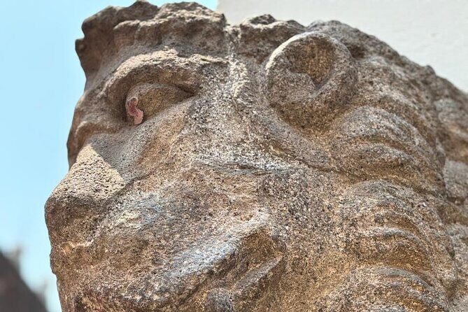 Private Tour in the Historic Center of CDMX and Chapultepec - Possible Drawbacks or Considerations