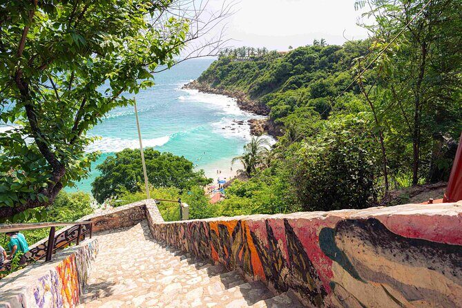 Private Tour to Carrizalillo Mirador Turtles and Release Turtles - Why This Tour Offers Great Value