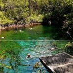 Private Tour to Tulum Cenotes Sac Actun - Transportation & Logistics