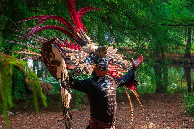 Private Tour to Xochimilco, Coyoacan and Frida Kahlo Museum - Walking Through Coyoacan’s Bohemian Streets