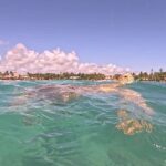 Private Tour: Turtle Swim & Underground Cenote - The Value of a Private, Tailored Tour