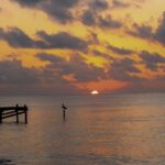 Private Transfer From Chiquila to Playa del Carmen, English Speaking Driver - Value Analysis: Is It Worth the Price?