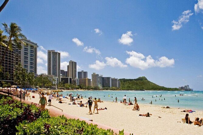 Private Transfer: Honolulu to Honolulu Airport HNL in Sedan Car - The Vehicle and Comfort