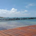 Private Transfer (One Way) Cancun And Hotel Zone (1-8 Passengers) - Who Is This Service Ideal For?