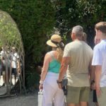 Private VW Beetle Tour Swim with Turtles, Visit Tulum Ruins&Town - What’s Included and What to Expect