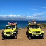 Private West Maui Coastline Open-Air Jeep Tour - Itinerary Breakdown: What to Expect