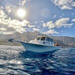 Private Whale Watch and Snorkel off Kaua'i - What to Expect from the Kaua’i Private Whale Watch and Snorkel Tour