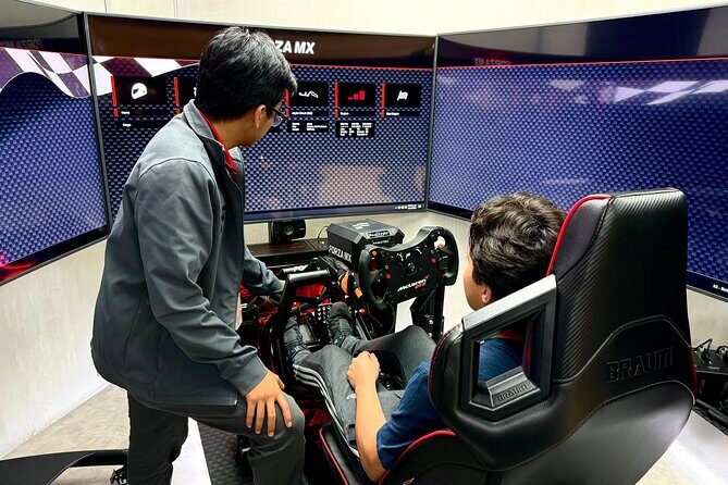 Professional racing simulator - Final Thoughts: Who Should Try It?