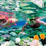 Reef Snorkel, underwater adventure in Puerto Morelos With Transportation & Lunch - What’s Included and What’s Not