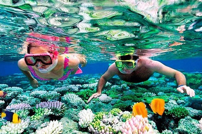 Reef Snorkel, underwater adventure in Puerto Morelos With Transportation & Lunch - What’s Included and What’s Not
