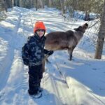 Reindeer Meet and Feed - Talkeetna - Who Would Love This Tour?
