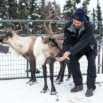 Reindeer Meet and Greet - Price and Value: Is it Worth It?