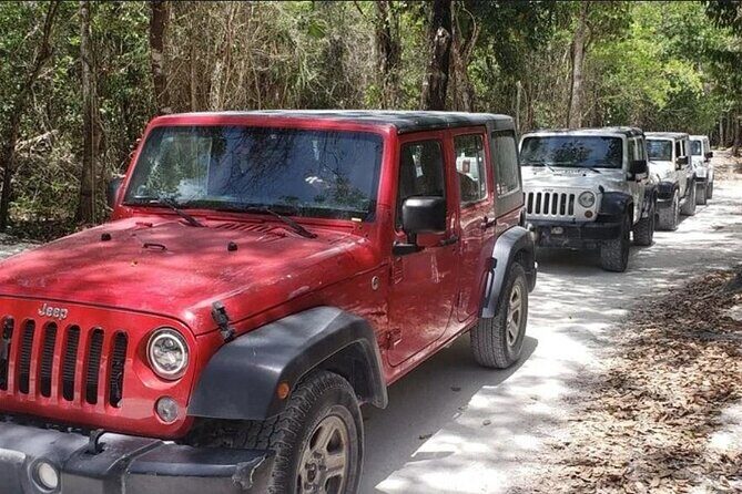 Rent Jeep 4 Doors with Air Conditioning Cozumel Excursion - What Makes This Jeep Rental Special?