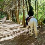 Ride Horses, Learn to Cook with Locals in Mexico City - What to Expect from the Tour