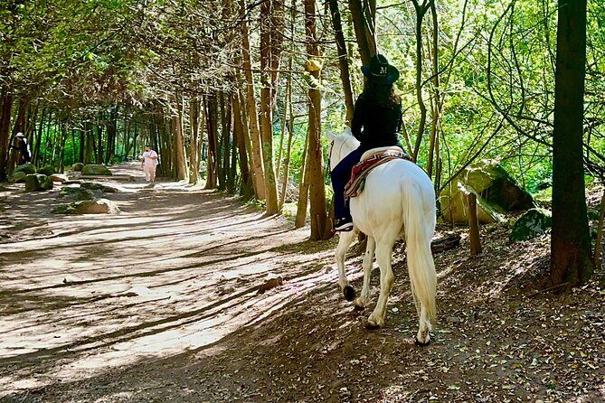 Ride Horses, Learn to Cook with Locals in Mexico City - What to Expect from the Tour