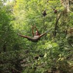 Riviera Maya Jungle Half-Day Tour: ATV, Ziplines, Cenote Swim, Rappel - Detailed Breakdown of the Itinerary
