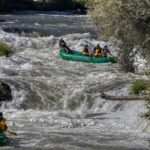 Rogue River Half Day Whitewater Trip Nugget Falls - Authentic Review Highlights