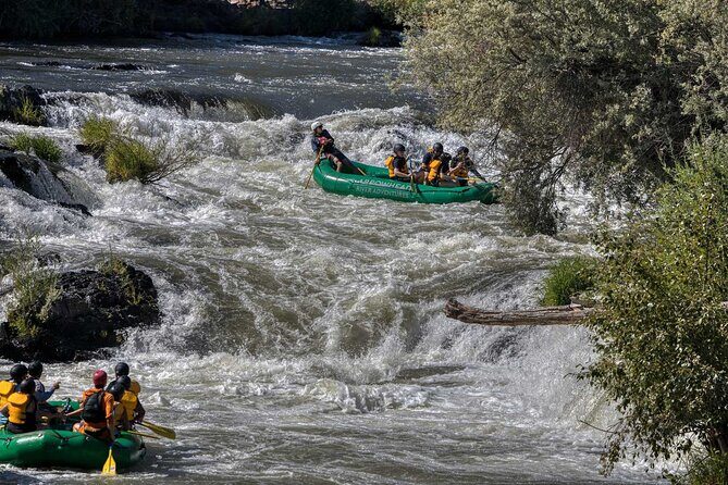 Rogue River Half Day Whitewater Trip Nugget Falls - Authentic Review Highlights