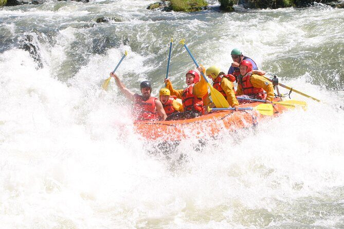 Rogue River Whitewater- Morning Rafting Adventure - Introduction: What to Expect on the Rogue River Whitewater Adventure