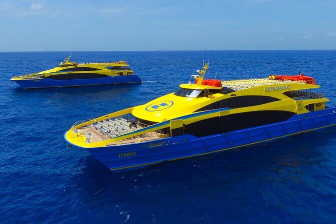 Round Transportation from Cancun to Cozumel Island in One Day - Who Is This Tour Best For?