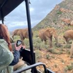 SAFARI Aquila Game Reserve - Round trip + Lunch incl. (Cape Town) - An In-Depth Look at the Experience