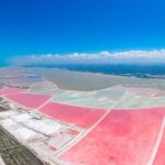 Safari in Rio Lagartos, Coloradas and Mayan Bath - FAQ