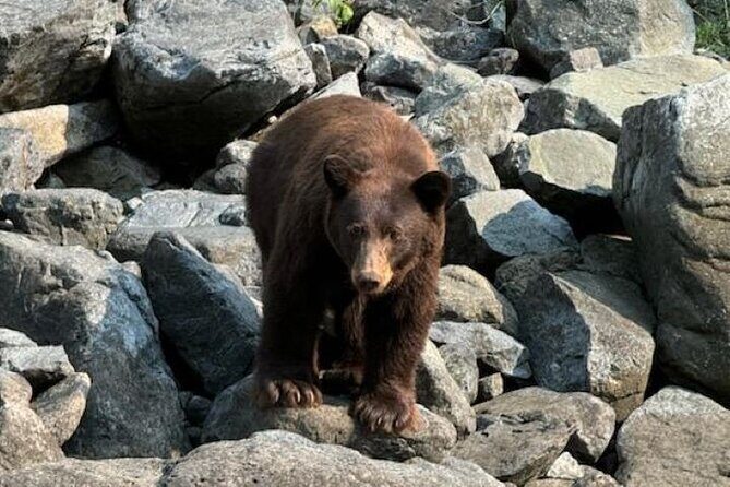 Scenic Jet Boat Tour through Hells Canyon - Who Will Love This Tour?