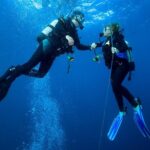 Scuba Reef Dive in Waikiki with One Tank - Pricing and Value
