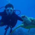 Scuba Referral Dives & Beach Club with Transportation In Riviera Maya - Authentic Insights from Past Guests