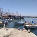 Seafood Secret Tour in Mazatlan - Why This Tour Offers Great Value