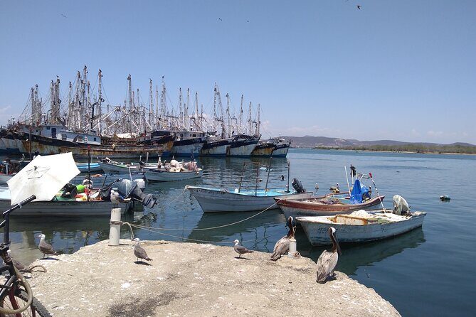 Seafood Secret Tour in Mazatlan - Why This Tour Offers Great Value