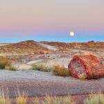 Self-Guided Audio Driving Tour in Petrified Forest National Park - The Sum Up