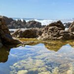 Self-Guided Orange County Drive from Long Beach to Laguna Beach - Practical Details and What to Expect