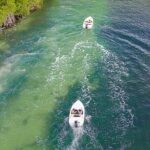 Shared Jungle Speed Boat Tour in Cancun - Practical Details & Tips