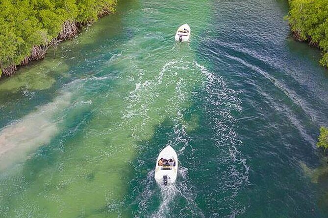 Shared Jungle Speed Boat Tour in Cancun - Practical Details & Tips