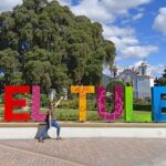 Shared Santa Maria Del Tule Bike Tour - What Past Travelers Say