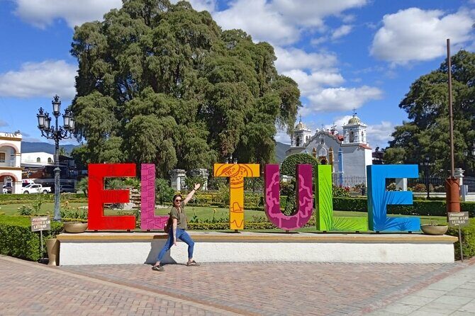 Shared Santa Maria Del Tule Bike Tour - What Past Travelers Say
