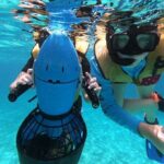 Shopping & Mexican Flavors with Transportation Included - What Makes This Tour Stand Out?