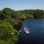 Shore Excursion Mazunte and Ventanilla Crocs & Turtles - The Bottom Line