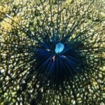 Shore Excursion Premium Family Snorkeling Experience - Why This Tour Offers Good Value