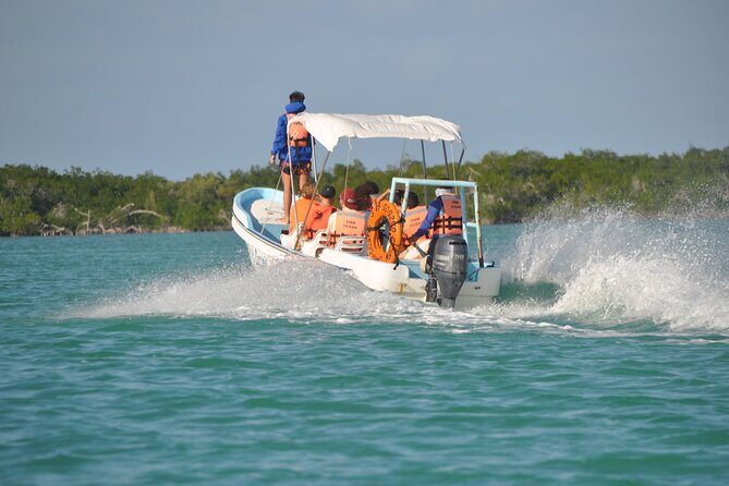 Sian Ka'an Boat Experience from Riviera Maya to Tulum - Wildlife Spotting and Ecosystem Insights