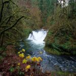 Silver Falls Private Hike Tour - Frequently Asked Questions