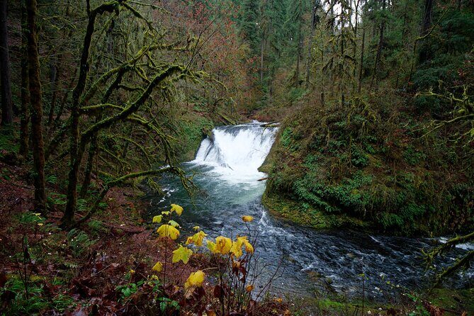 Silver Falls Private Hike Tour - Frequently Asked Questions