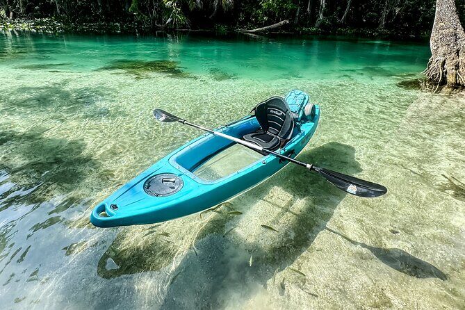Silver Springs - Glass Bottom Kayak Rental - Why Choose Silver Springs Glass Bottom Kayak Rental?