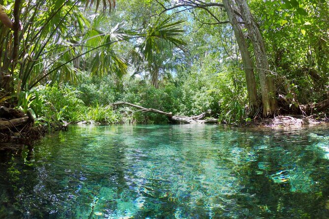 Sisal Mangrove and Beach Kayak Tour From Merida - A Detailed Look at the Tour Experience