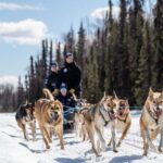 Sled Dog Ride and Scenic Drive from Anchorage - Why This Tour Offers Great Value