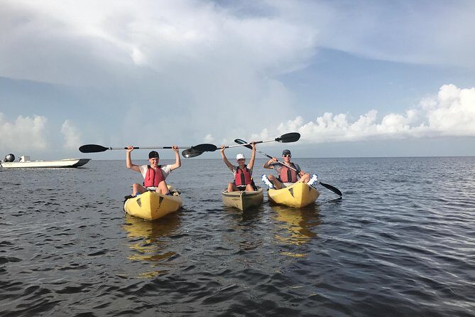 Small Group Boat, Kayak and Walking Guided Eco Tour Everglades - Who Should Consider This Tour?