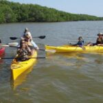Small-Group Everglades Boating Kayaking and Walking Eco Tour - Final Thoughts