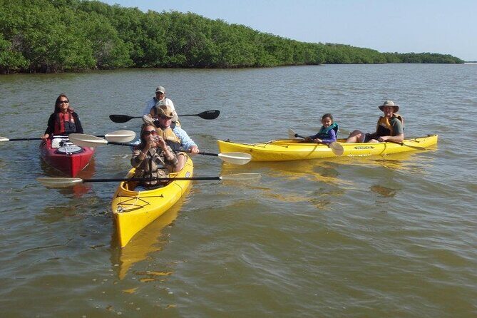 Small-Group Everglades Boating Kayaking and Walking Eco Tour - Final Thoughts