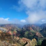 Small Group One Day Trip Kauai Island - Real Experiences from Travelers